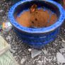 flower pots outdoor Image 6