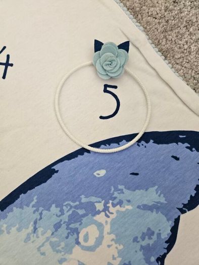 Baby milestone tracking blanket