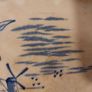 Fabulous Vintage Rare Arklow Pottery Blue and White 10 Inch Wall Plate in an Unusual Pattern with Carnations and a Windmill on a Hill, Very Aesthetic Movement in Style, Display Only Image 7