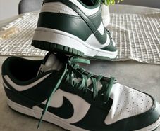 nike dunk