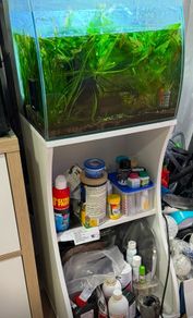 Fluval flex 57 litre with stand