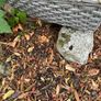 Flower planter basket Image 3