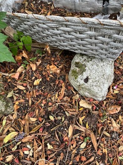 Flower planter basket