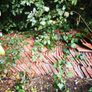300 Roof Tiles/Slates Image 2
