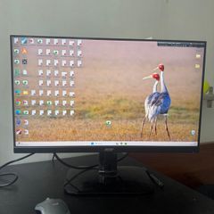 monitor acer 24''
