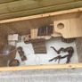 Hamster enclosure with camera and accessories Image 7