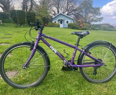Frog bike 62