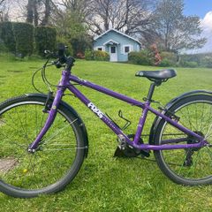 Frog bike
