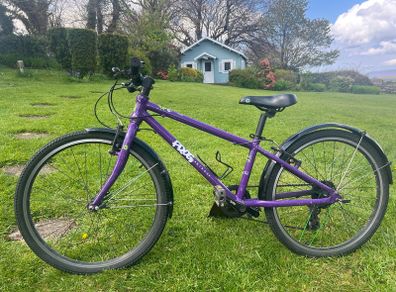 Frog bike 62