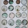 Selection of 24 Antique Pocket Dials Image 7