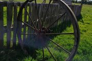 antique vintage metal spoked wheel