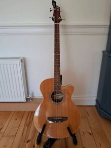 Acoustic Bass Guitar