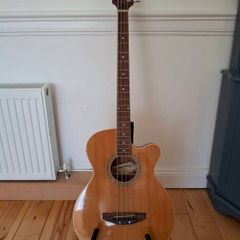 Acoustic Bass Guitar
