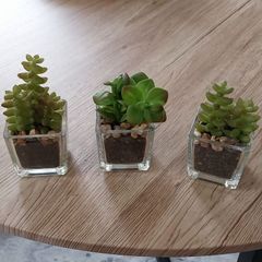 Artificial plants x 3