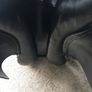 paul jones saddle Image 6
