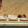 Aquitania Hand Painted Carved Sign Image 6