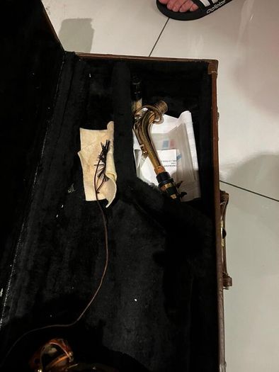 Artemis Alto Saxophone with Hard Case