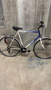 Adult bike