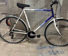 Adult bike