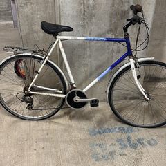 Adult bike