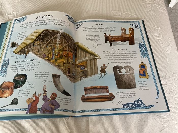 Usborne "The story of the Vikings" picture book