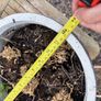 Large garden pots Image 6