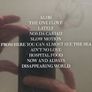 David Gray CD - Life In Slow Motion Image 2