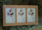 Brand New Picture Frame