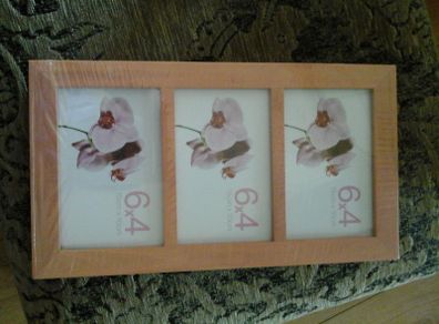 Brand New Picture Frame