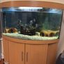 fish tank Image 2