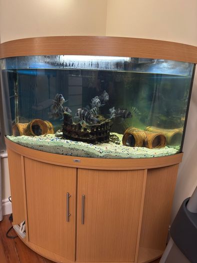 fish tank