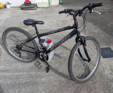 Claude Butler CBR Storm 26"