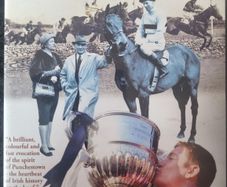 Punchestown Seeing Out The Distance
