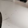 Corner Desk Image 6