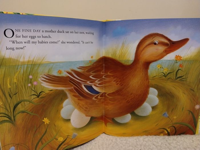 Ladybird Favourite Fairy Tales, Large Hardback Book