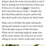 Potted indoor plant Image 6