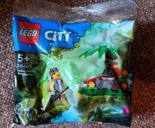 Lego Polybags