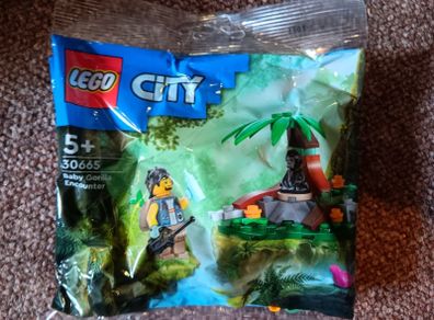 Lego Polybags