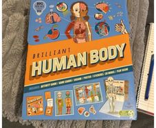 Big Ideas Human Body learning box