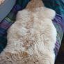 Genuine Sheepskin Image 3
