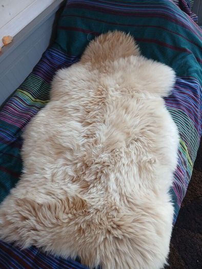 Genuine Sheepskin