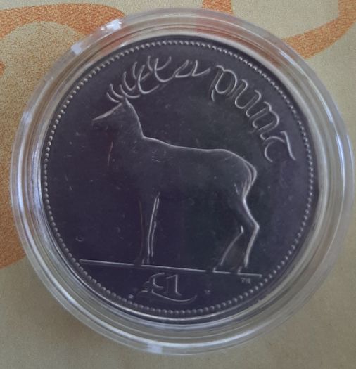 1 Punt coin collectable in case