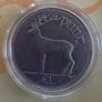 1 Punt coin collectable in case Image 3