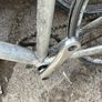 fixie Image 4