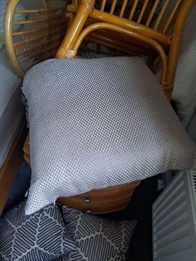 cushion pair x2