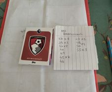 AFC Bournemouth Topps Premier league cards