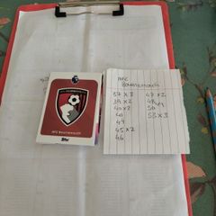 AFC Bournemouth Topps Premier league cards