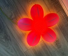 Flower Wall Light