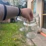 20 cents each jar Image 6