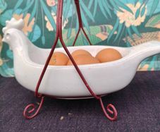 Egg Holder